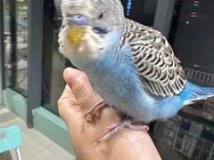 -怪兽屋·羊驼·猫咖·狗咖(俊华广场店)