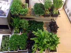 -浩家苑菜馆(汉口路店)