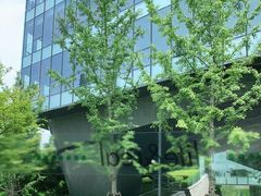 -青麦家·融合餐厅(江岛智立方店)
