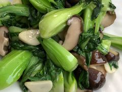 -林之六八·6886大连老菜馆