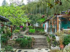 -Cafe In Little Forest