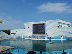 -北戴河圣蓝海洋公园