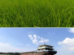 -鄱阳湖国家湿地公园