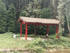 -贵州森林野生动物园