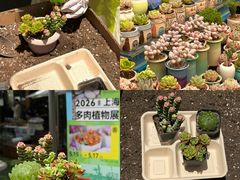 -瑞虹新天地月亮湾