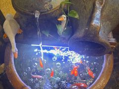 -南山民肴·乡土徽菜(豪辰俪景店)