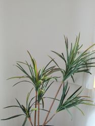 -栖SPA·ONDA ·海菲秀·皑皑科技美肤中心