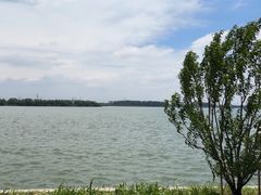 -漕湖湿地公园
