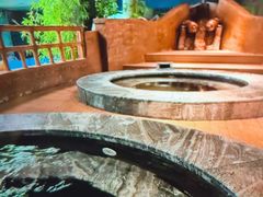 -春晖园度假酒店温泉