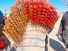 -天津妈祖文化园