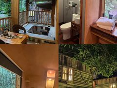 -天门沟九州驿站树上汤泉