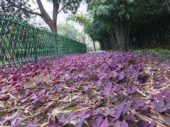 -堤角公园