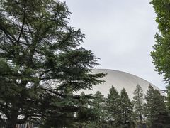 -二十一世纪饭店-游泳馆