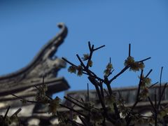 -绮园景区