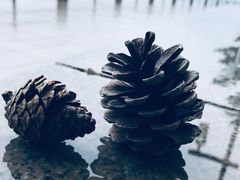 -悦海公园