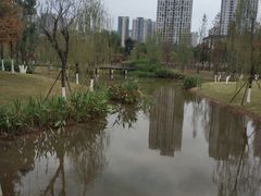 -沐仙湖湿地公园