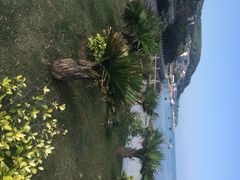 iphone_upload_pic-东澳岛