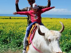 -青海湖国家重点风景名胜区