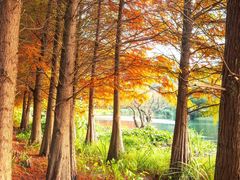 -贵阳市花溪国家城市湿地公园