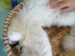 -怪兽屋·羊驼·猫咖·狗咖(俊华广场店)