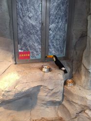 -Zoolung Zoolung动物主题公园(海信广场店)