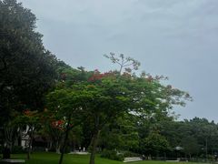 -布里斯班南岸公园