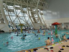 -广西体育中心-游泳馆