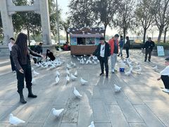 -天津妈祖文化园