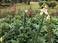 -南宁南湖公园