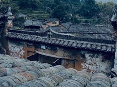 -杨家堂村