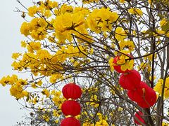 -洲头咀公园