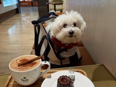 -Peet's 皮爷咖啡(乐峰店)