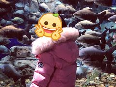 -哈尔滨波塞冬海底世界