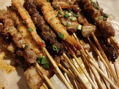 -山野的朋友露营炭火烤肉