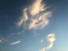 -咕叽咕叽自助烤肉小火锅(西城广场购物中心店)