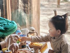 -上海野生动物园老虎餐厅