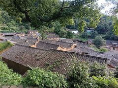 -杨家堂村