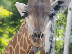 -泉州海丝野生动物世界