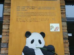 -成都大熊猫繁育研究基地-熊猫厨房