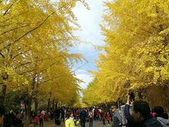 -辽宁大学(崇山校区)