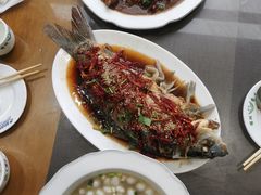 -微山岛春天里酒家