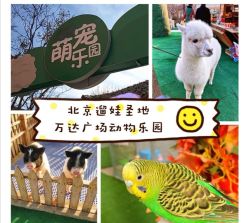 -萌宠亲子动物乐园(槐房万达店)