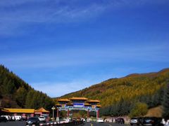 -塞罕坝国家级自然保护区