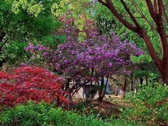 -济南国际园博园