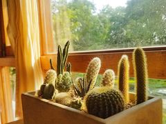 -时光花园(白鹭洲店)