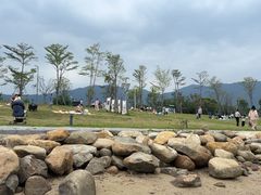 -坝光海滩