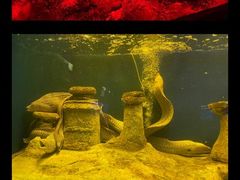 -北海海底世界