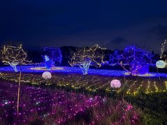 -名花谷生态庄园