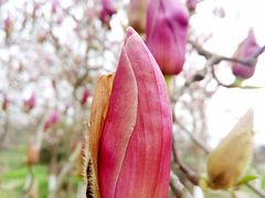 -白鹭湾湿地公园