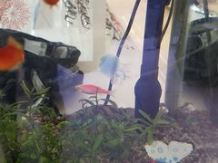 -好宜家眼视光·蔡司店(临汾店)